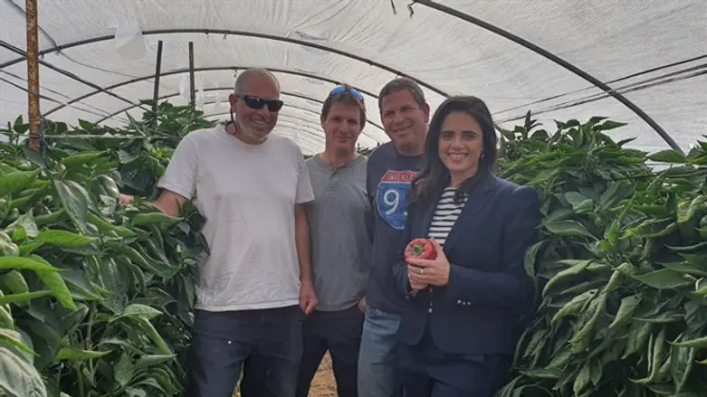 Ayelet Shaked at a greenhouse