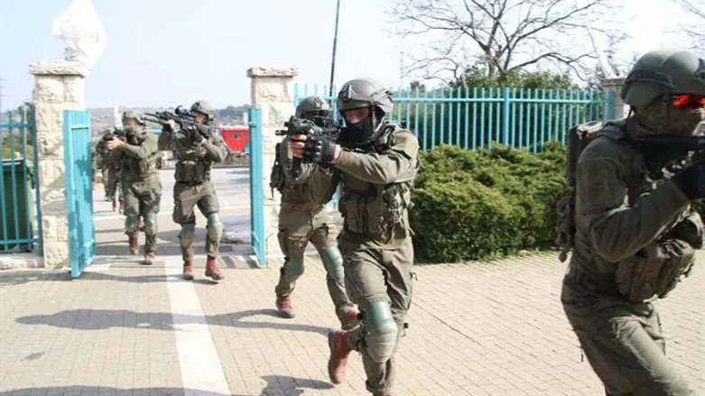 Военные учения. Иллюстрация