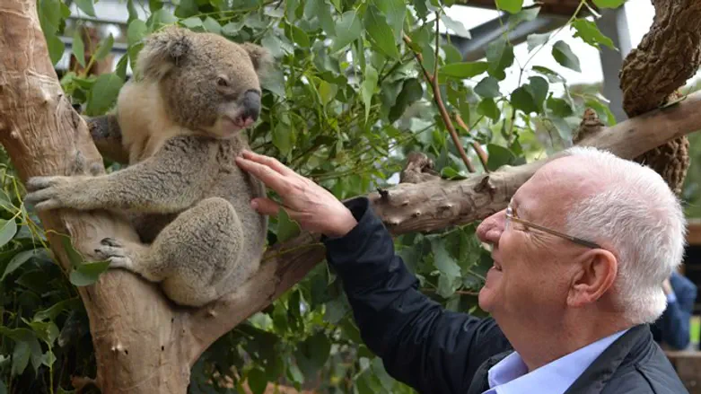 President in Australia