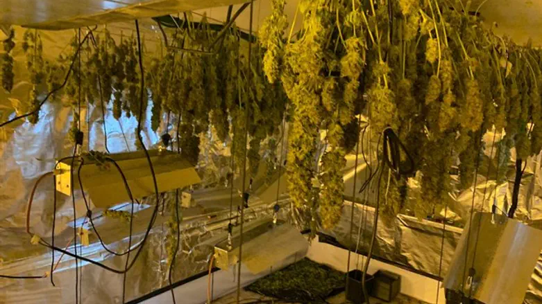 מעבדת הסמים שנחשפה