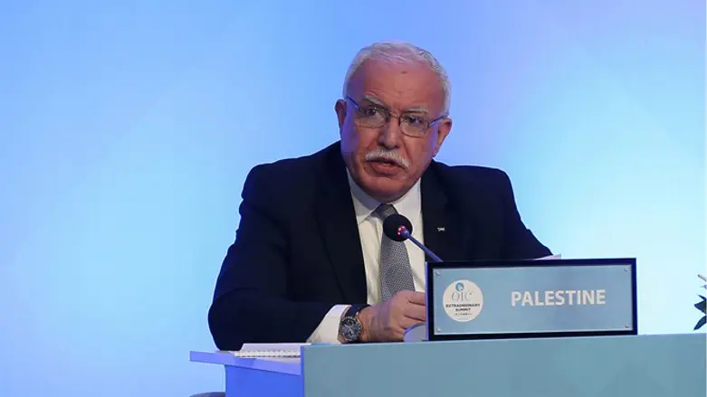 Riyad Al-Maliki