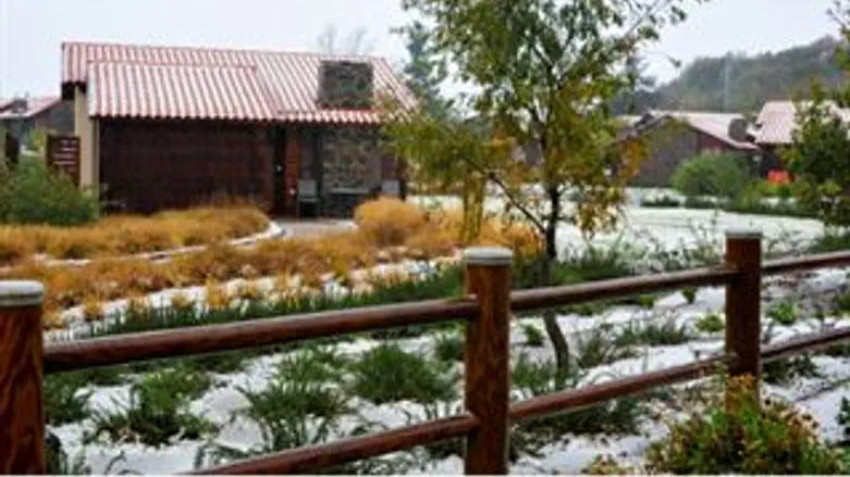 שלג היום בקיבוץ מרום גולן