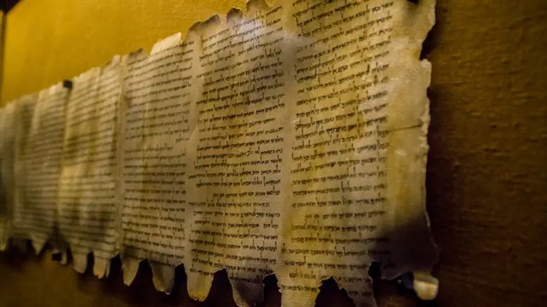 מגילות ים המלח