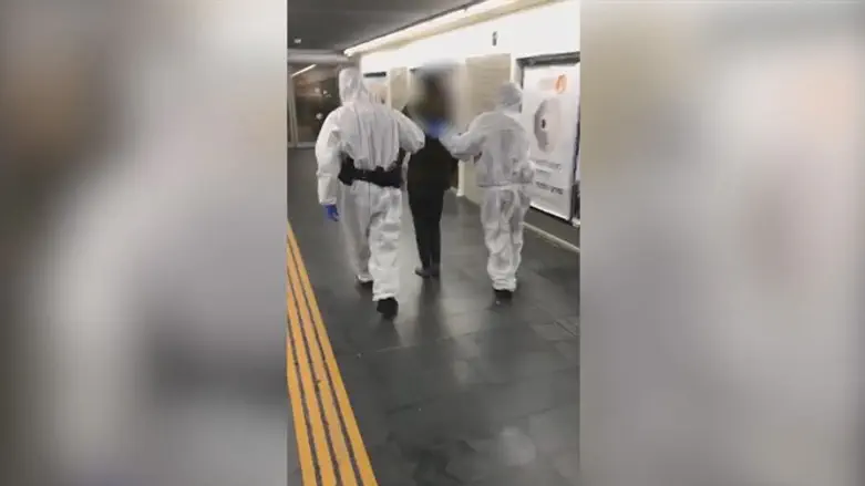 Коронавирус (иллюстрация)