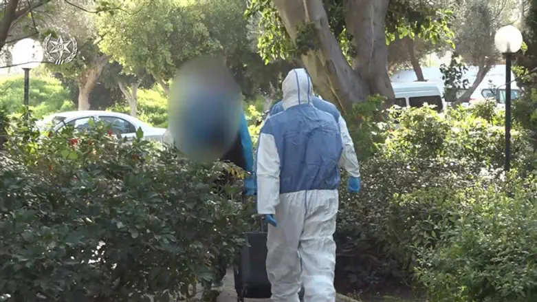 Арест подозреваемого в нарушении карантина. Иллюстрация