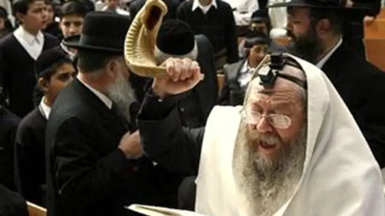 הרב דוד בצרי