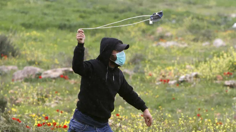 Infected with noxious ideology