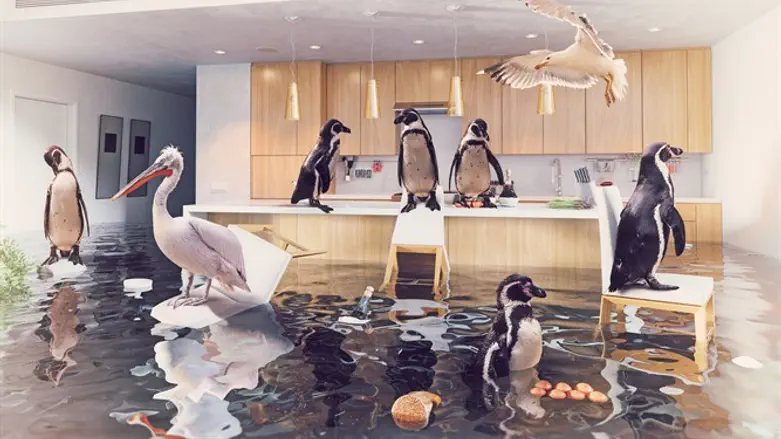 כזה, אבל וירטואלי