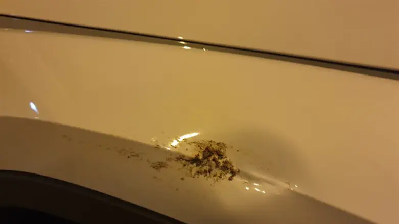 טרור האבנים נמשך