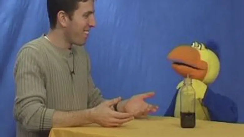 החברים מגבעה 7