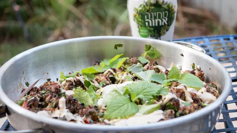 קבב טלה בטחינה