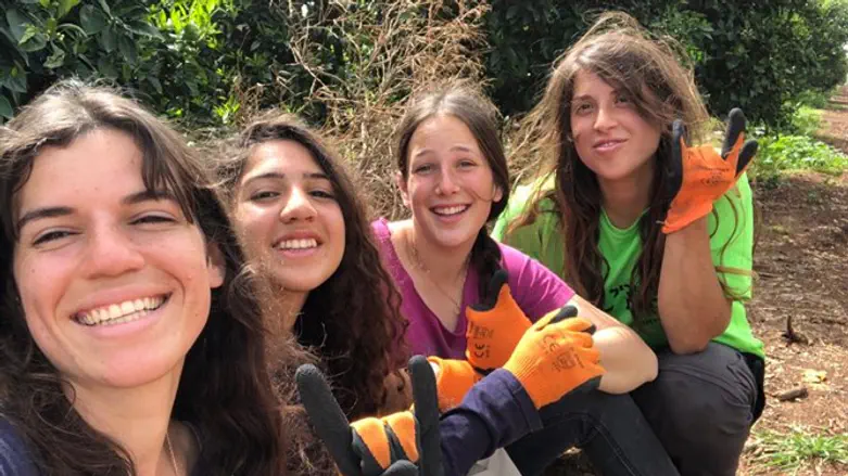 מתנדבות שירות לאומי