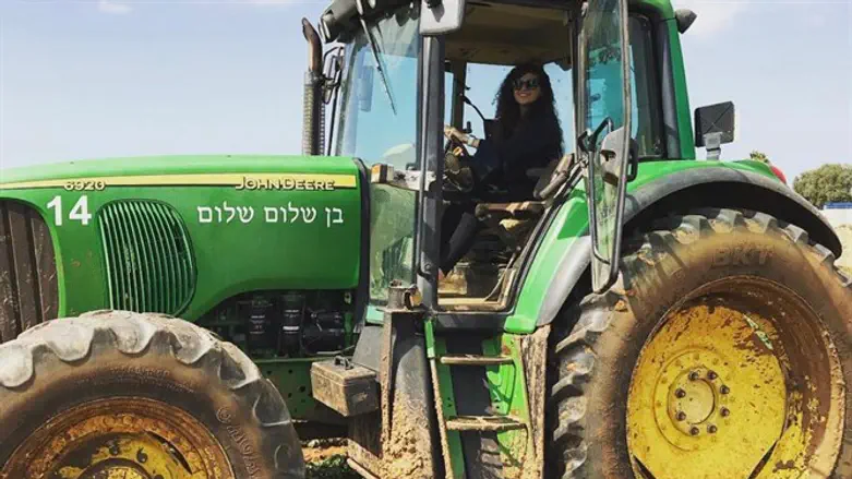 ח"כ שרן השכל 