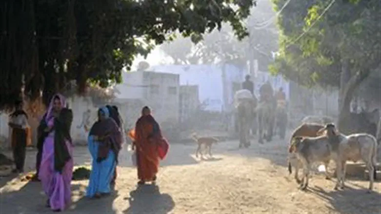 קריסה בהודו
