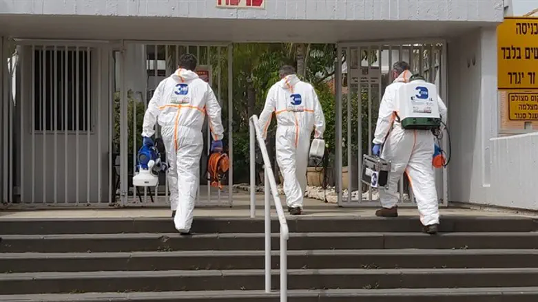 בדרך לחיטוי בתי הכנסת