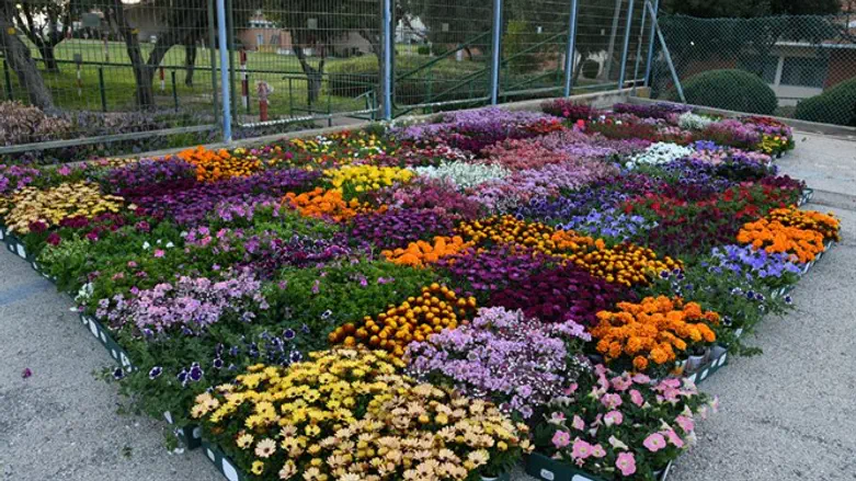 להוקיר את צוותי הרפואה וגם לסייע למשתלה