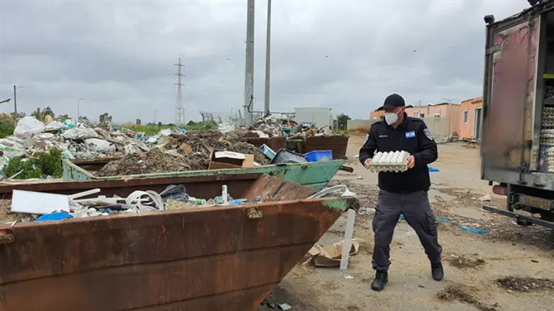 משמידים את הביצים המסוכנות