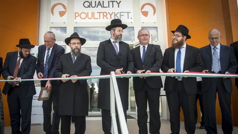 Hungarian Jewish leaders