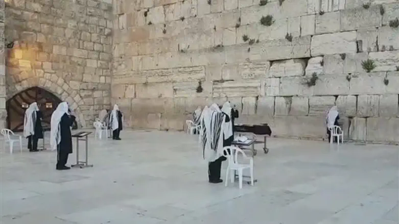 תקיעת שופר במניין המצומצם בכותל