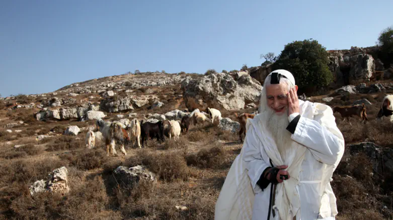 הרב פרומן