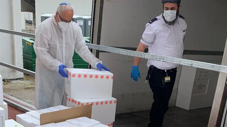 פרופ׳ רוברט פלור