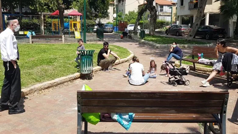 מקלב בערב החג