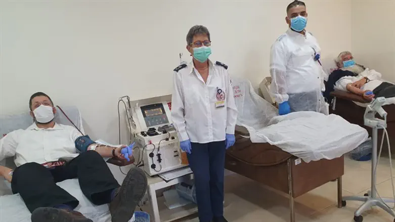 תרומת פלסמה 