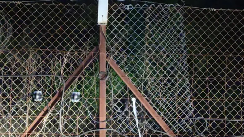 Border fence