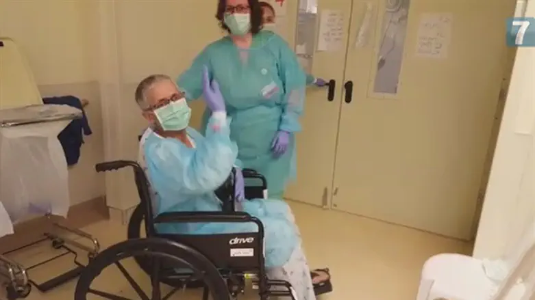 Цви Михаэли