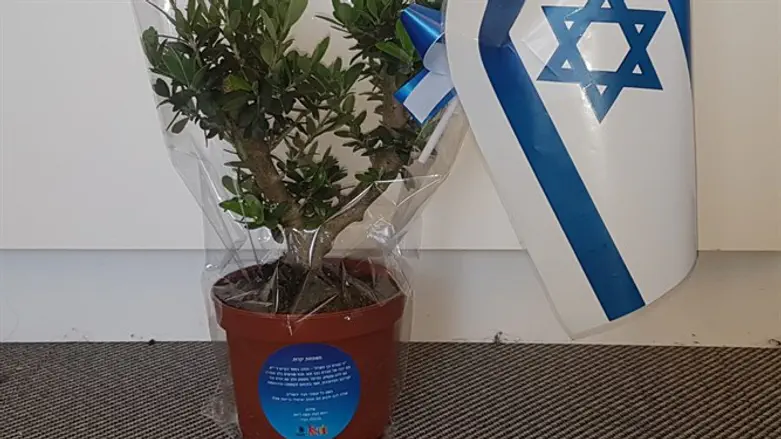 השתיל שיחולק למשפחות