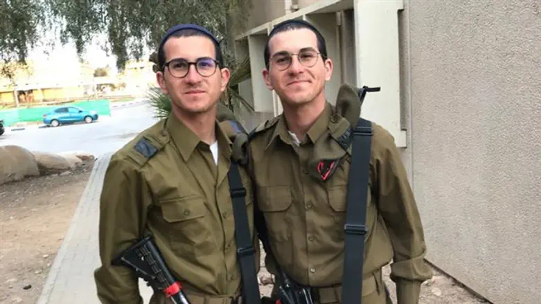 צבי ולביא ספז