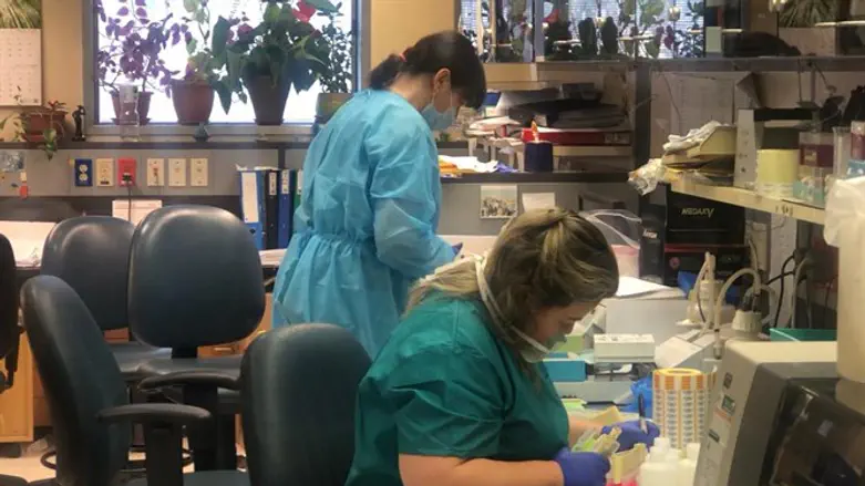 "מחקר הסארס היה עוזר לנו, אבל השאננות קטעה אותו"