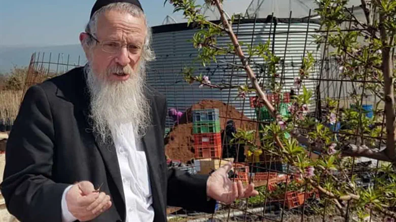 הרב משה טבאל