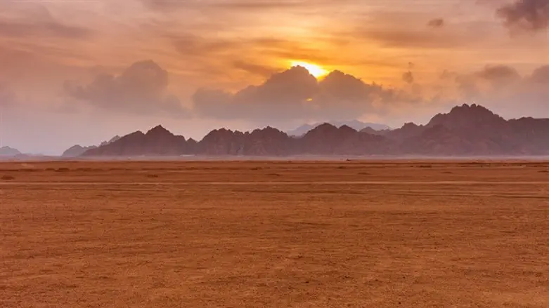 אקלים בלתי נסבל?