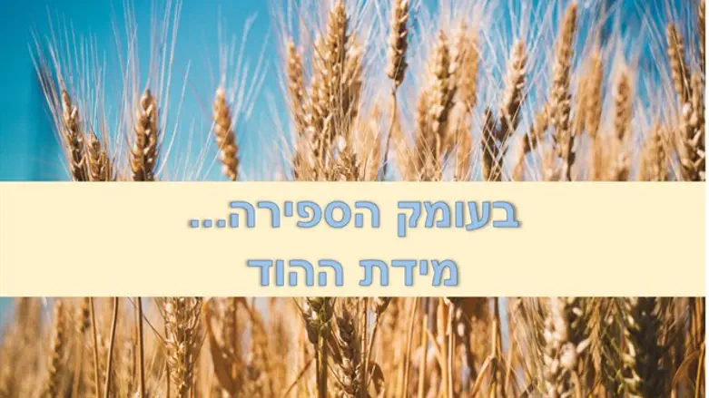 ספירת העומר