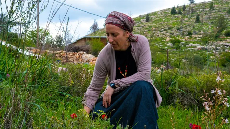 אורי הדסה קלוש