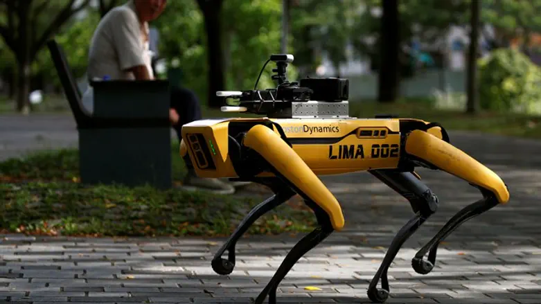 Робот-собака по кличке «Спот»