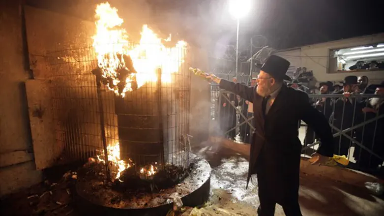 Meron Bonfire Lighting