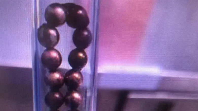 חלק מהמגנטים שהוצאו