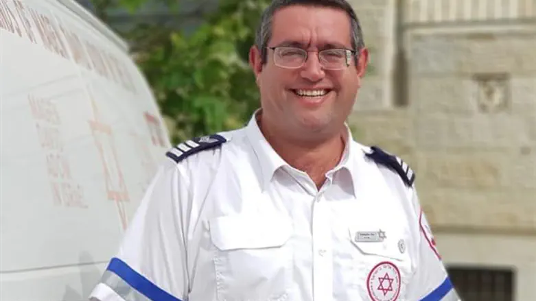 וולי וולפסטל