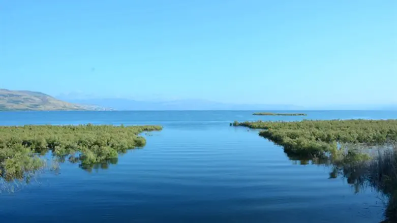 נוף הכנרת
