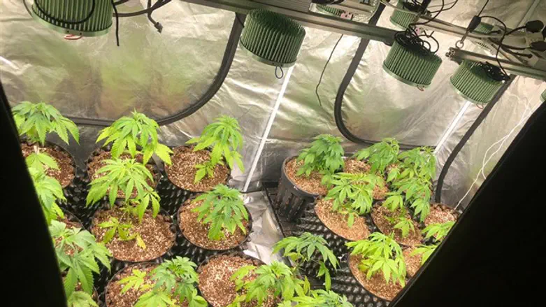 מעבדת הסמים