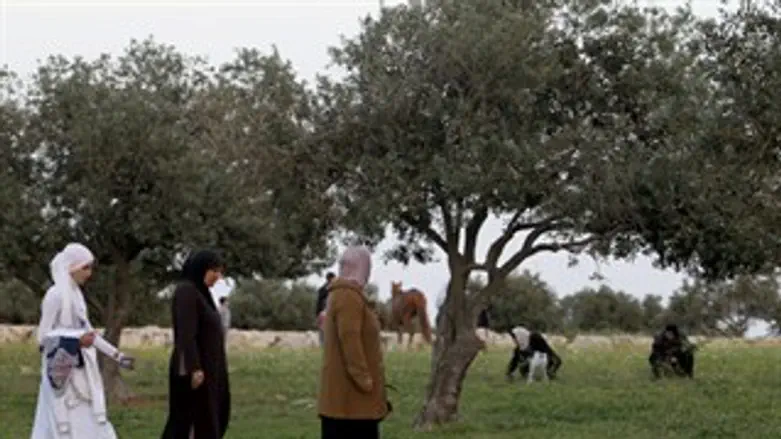 נשים ערביות. אילוסטרציה