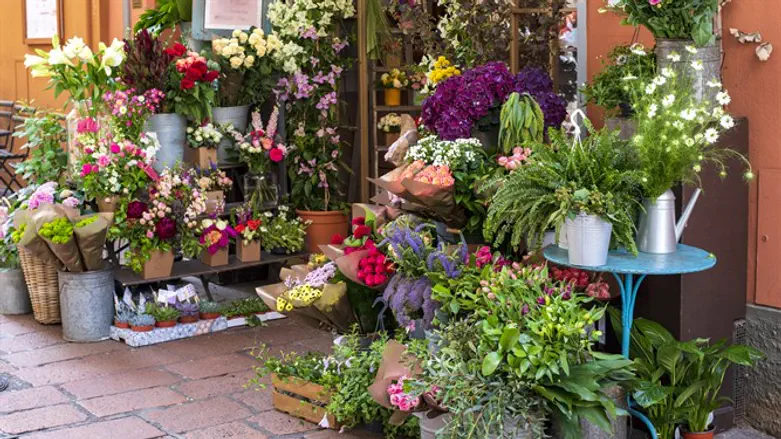 ירידה דרמטית בענף