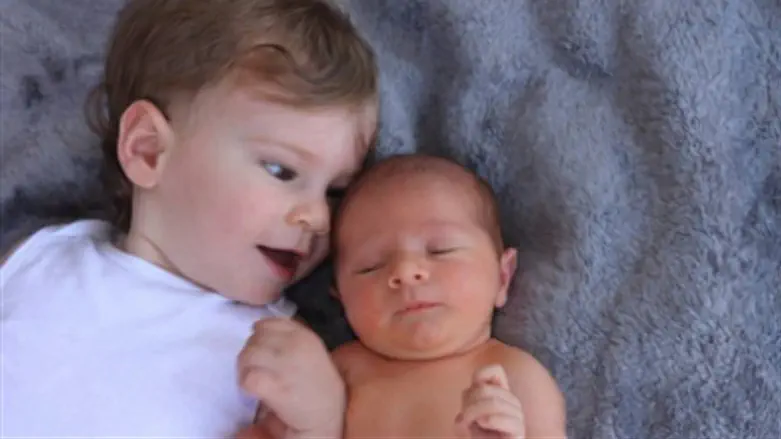 Benny & Josh Landsman