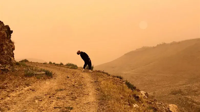 צילומים במדבר