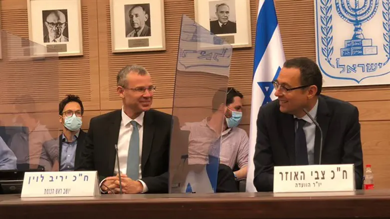 Ярив Левин и Цви Хаузер