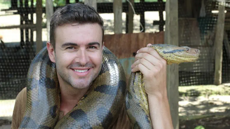 הפתרון לכאבי הגב?