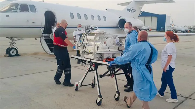 מקפריסין לתל השומר