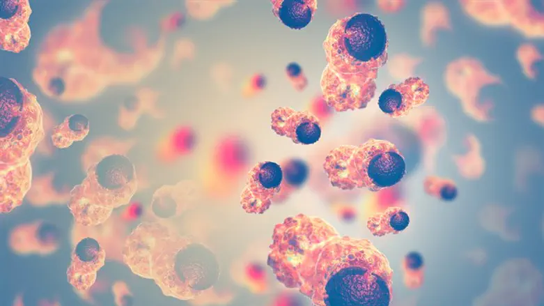 תאים סרטניים. אילוסטרציה